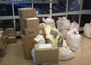 SES Informa 8 de febrero 2025