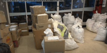 SES Informa 8 de febrero 2025